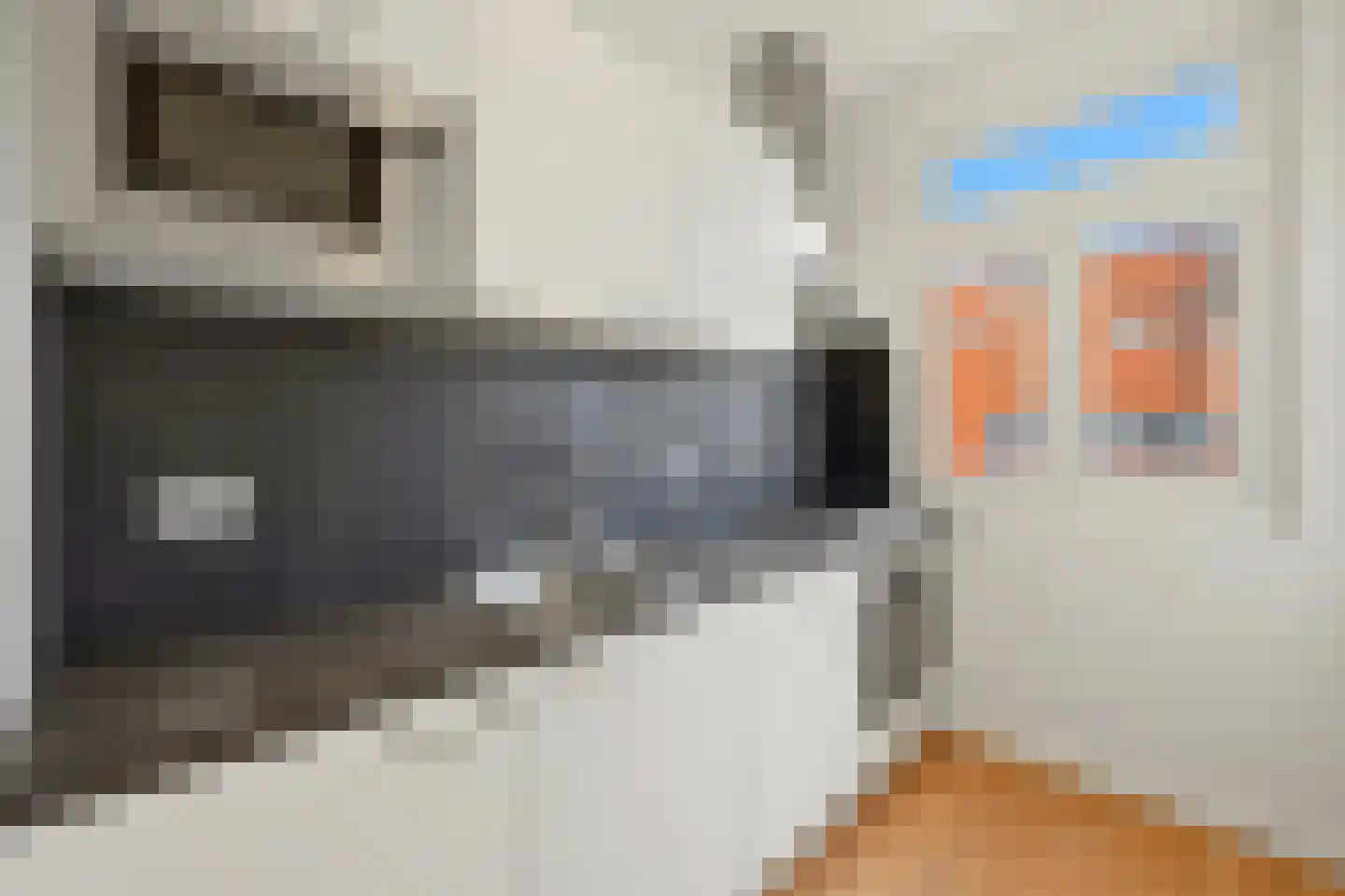 De Genestetlaan 32 Den Haag thumbnail 17