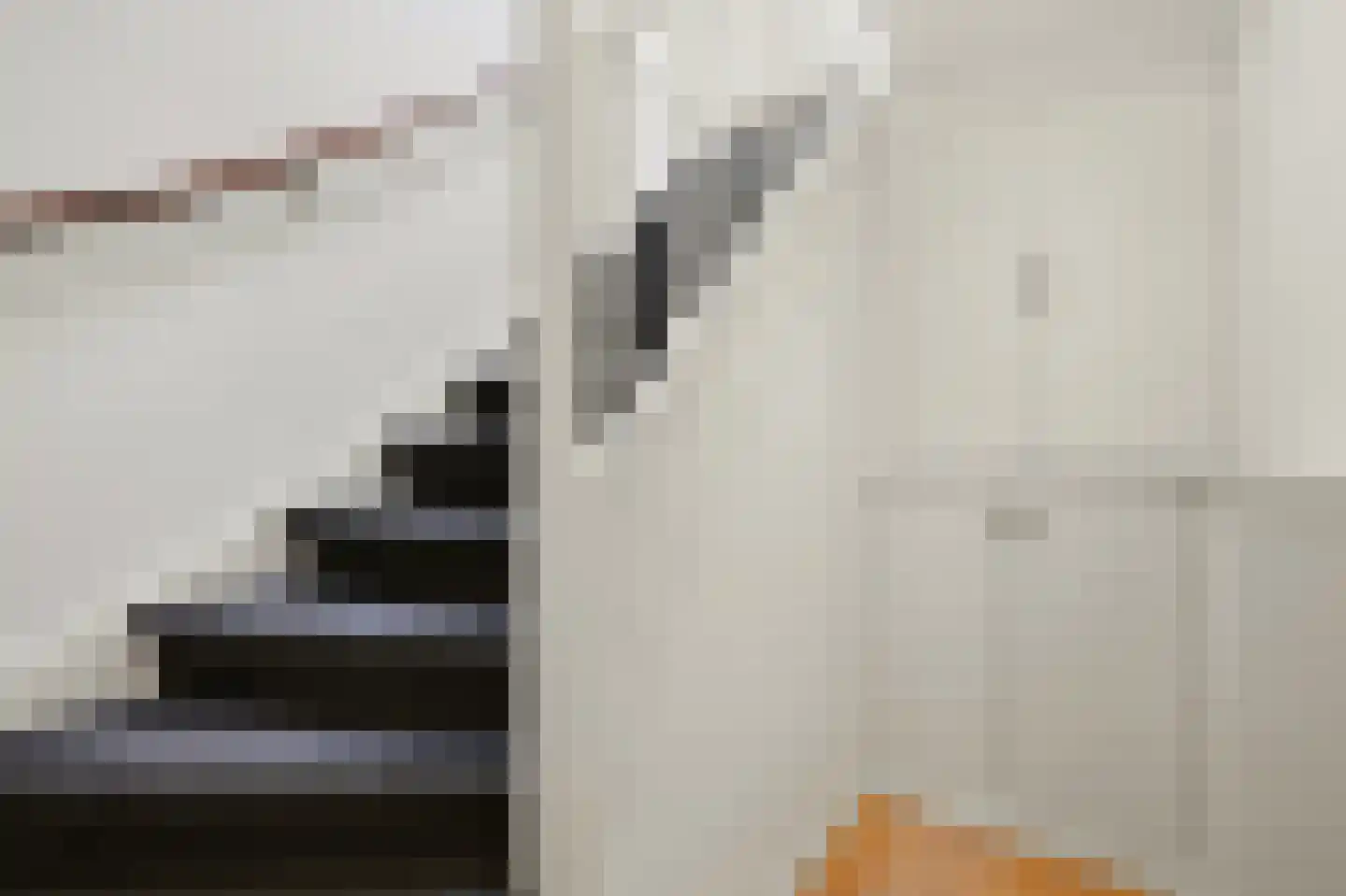 De Genestetlaan 32 Den Haag thumbnail 25
