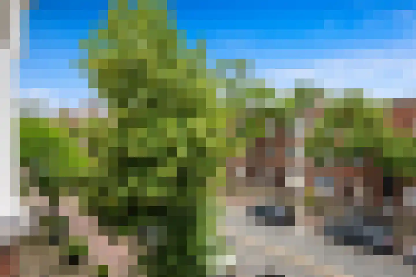 De Genestetlaan 32 Den Haag thumbnail 4