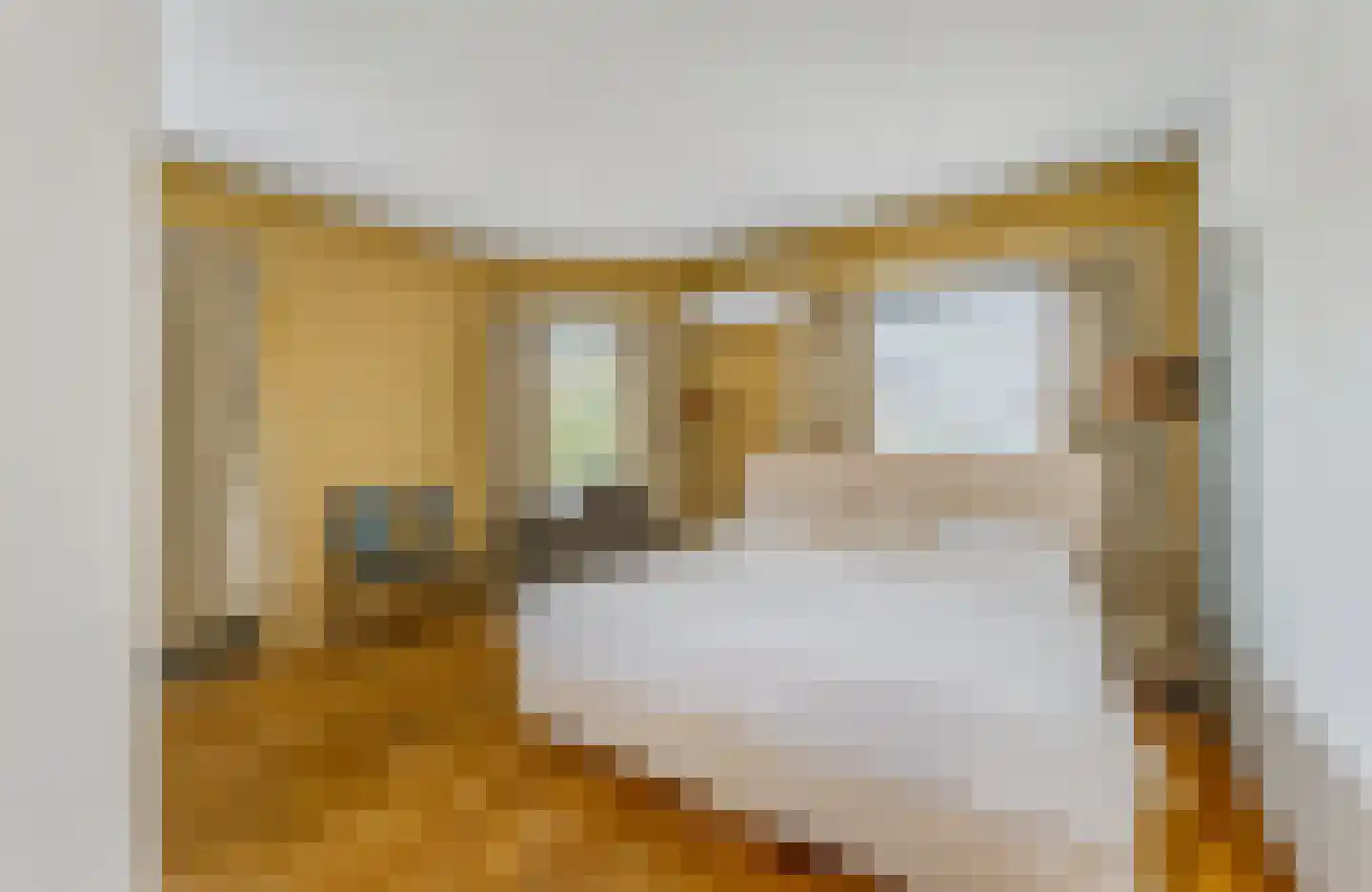 De Genestetlaan 37 Bussum thumbnail 19