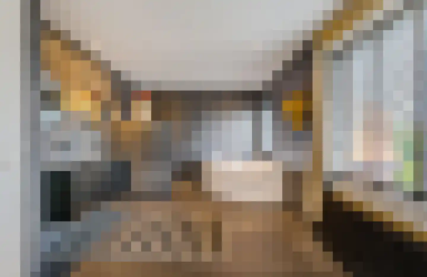 De Genestetlaan 37 Bussum thumbnail 21