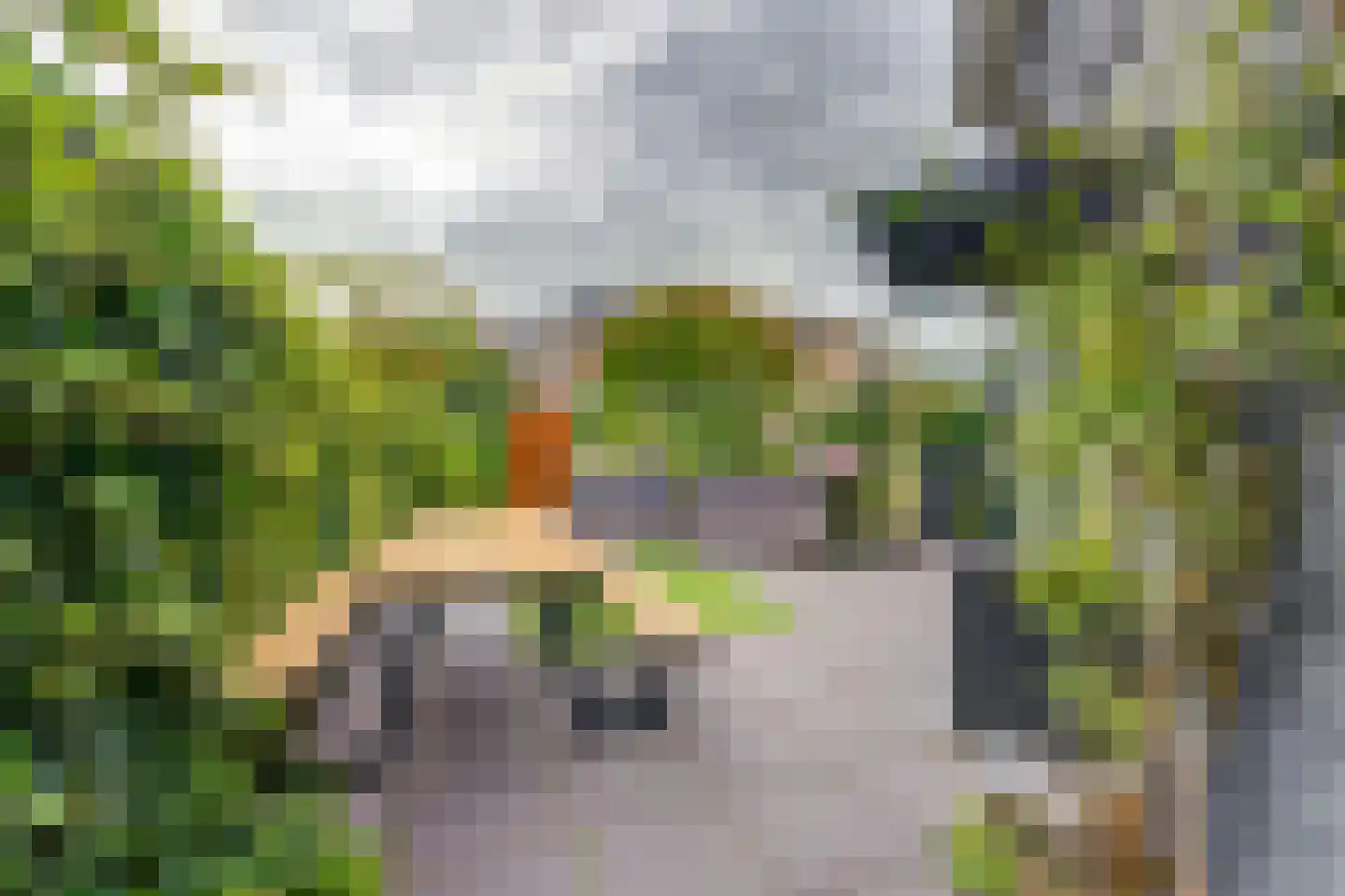 De Genestetlaan 37 Bussum thumbnail 34