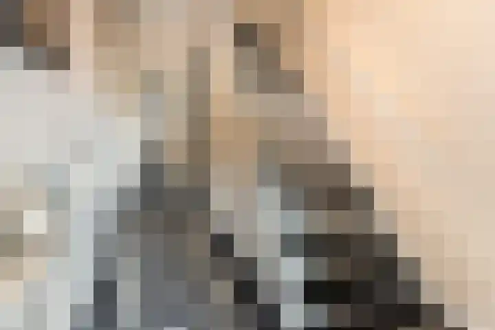 De Genestetlaan 4 Hilversum thumbnail 12