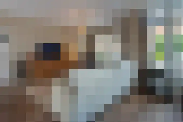De Genestetlaan 4 Hilversum thumbnail 15