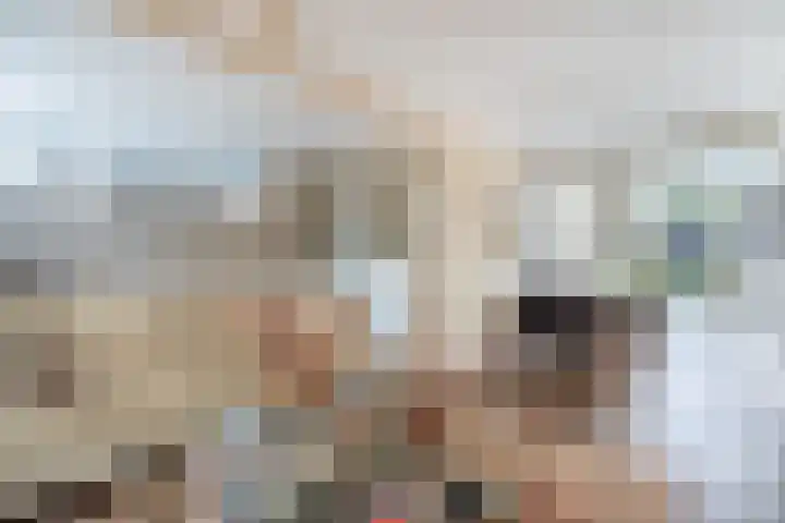 De Genestetlaan 4 Hilversum thumbnail 17