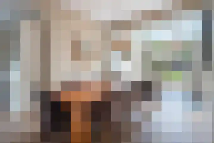 De Genestetlaan 4 Hilversum thumbnail 18