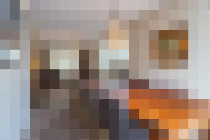 De Genestetlaan 4 Hilversum thumbnail 19