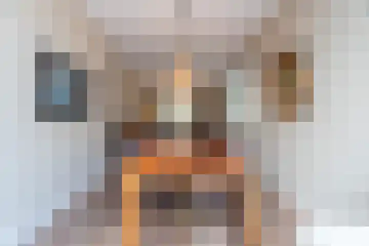 De Genestetlaan 4 Hilversum thumbnail 20