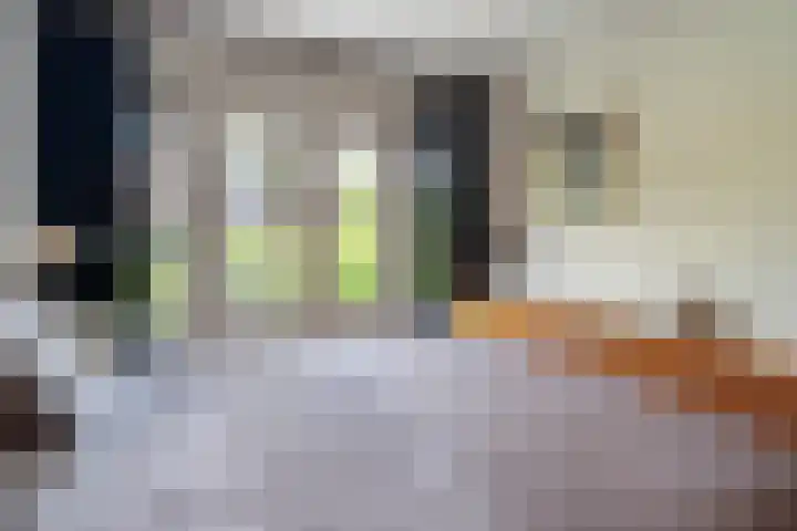 De Genestetlaan 4 Hilversum thumbnail 27