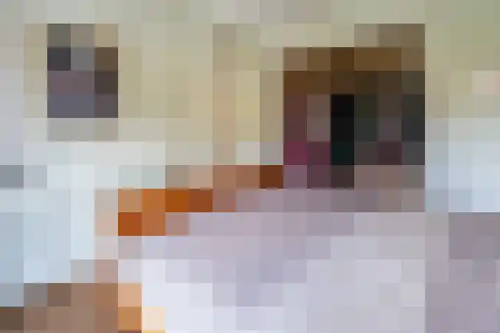 De Genestetlaan 4 Hilversum thumbnail 28