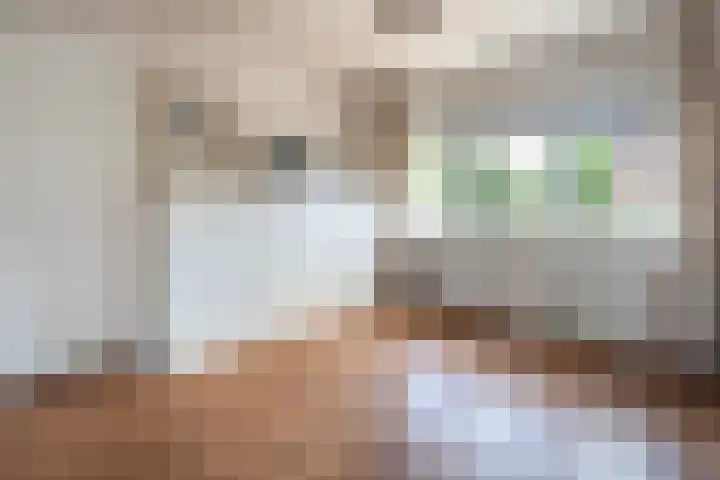 De Genestetlaan 4 Hilversum thumbnail 30