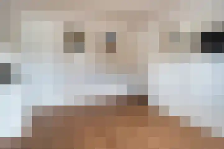 De Genestetlaan 4 Hilversum thumbnail 31