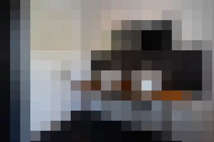 De Genestetlaan 4 Hilversum thumbnail 35