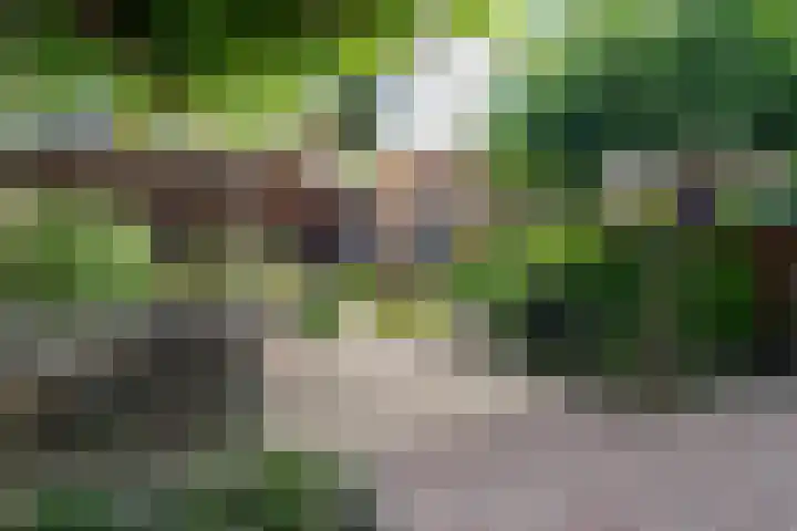 De Genestetlaan 4 Hilversum thumbnail 43