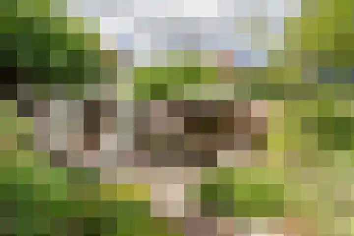 De Genestetlaan 4 Hilversum thumbnail 45