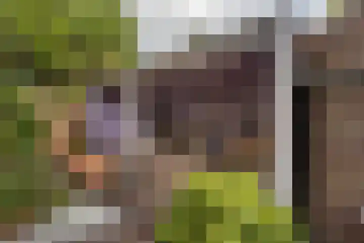 De Genestetlaan 4 Hilversum thumbnail 46