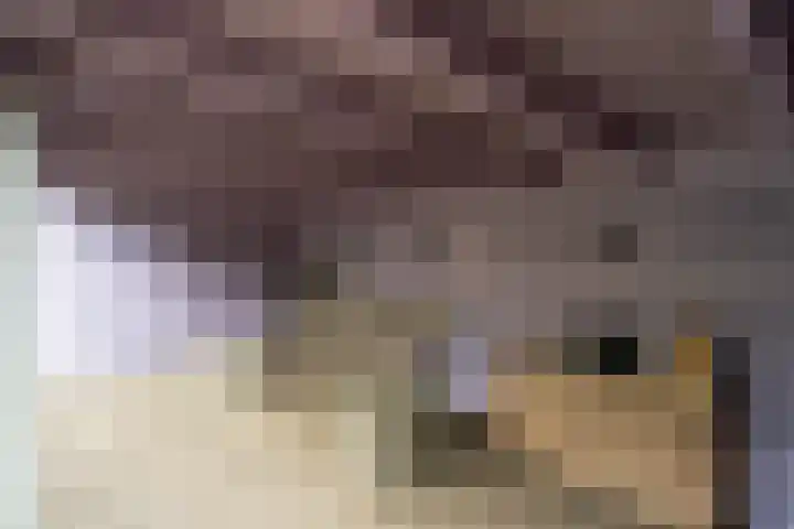 De Genestetlaan 4 Hilversum thumbnail 47