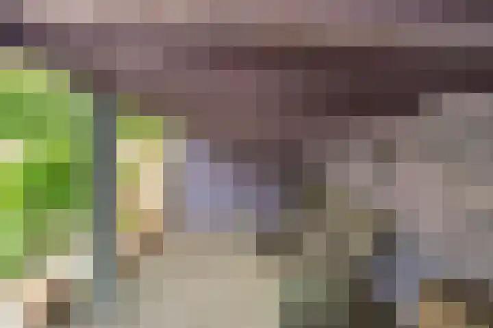 De Genestetlaan 4 Hilversum thumbnail 48