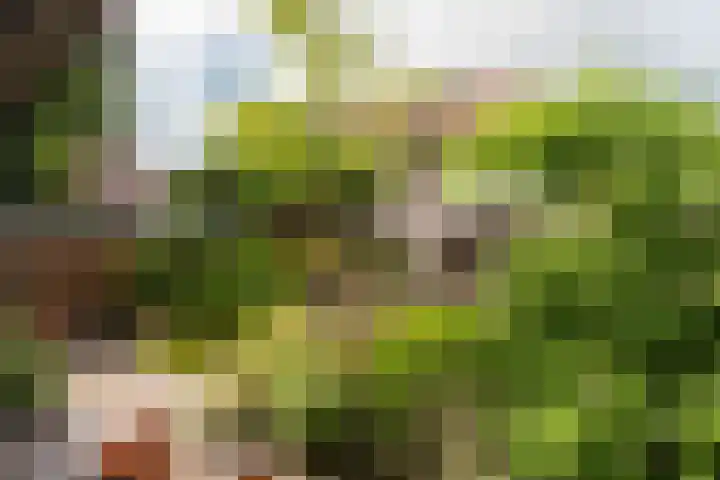 De Genestetlaan 4 Hilversum thumbnail 49