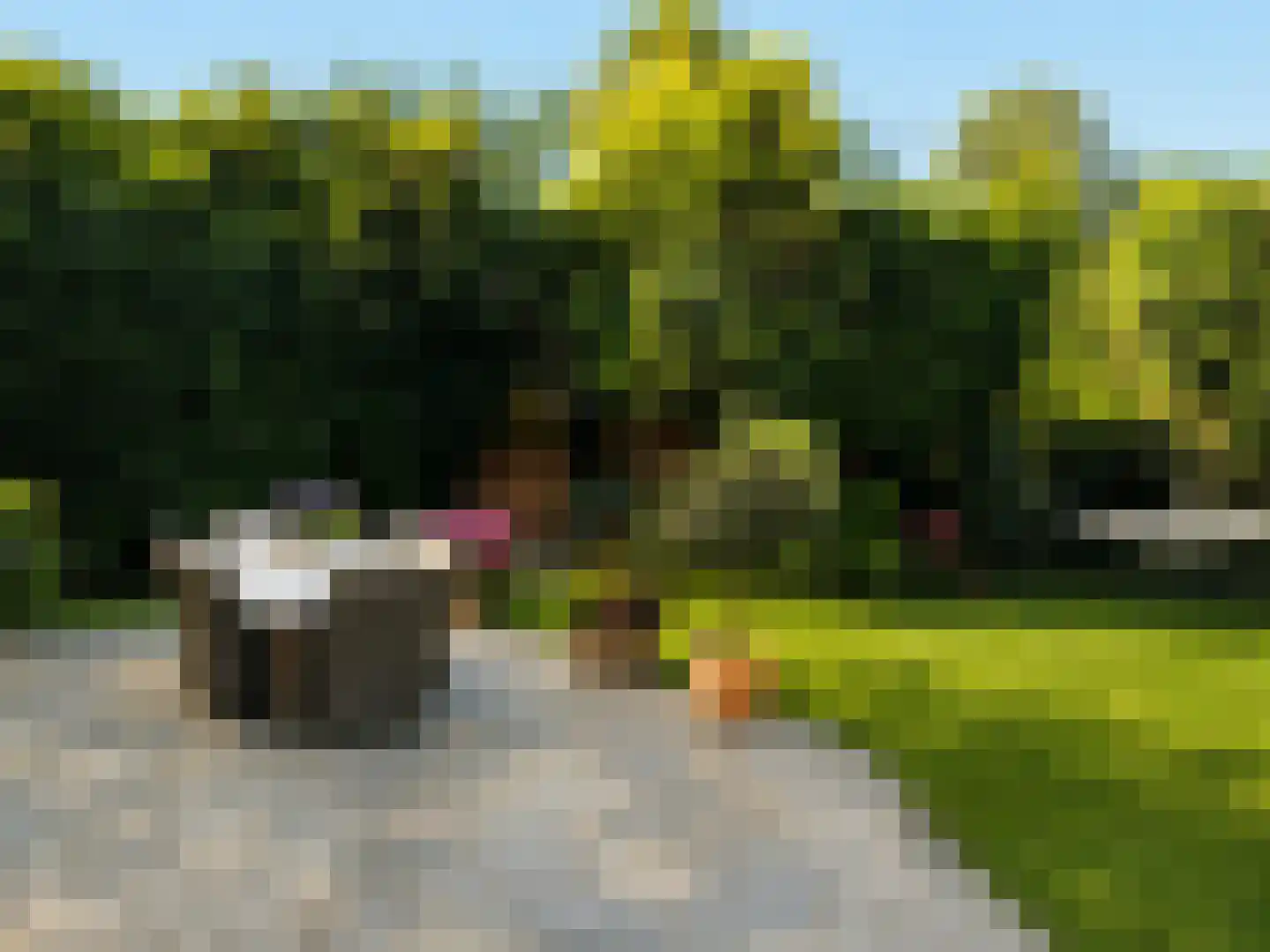 De Genestetlaan 40 Bilthoven thumbnail 4