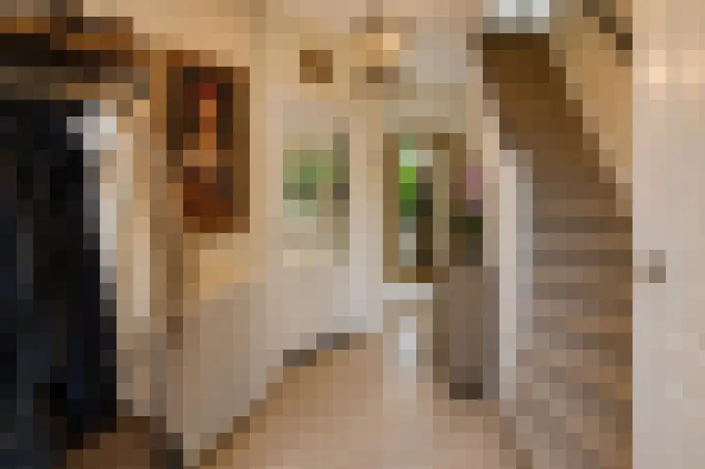 De Genestetlaan 40 Bilthoven thumbnail 5