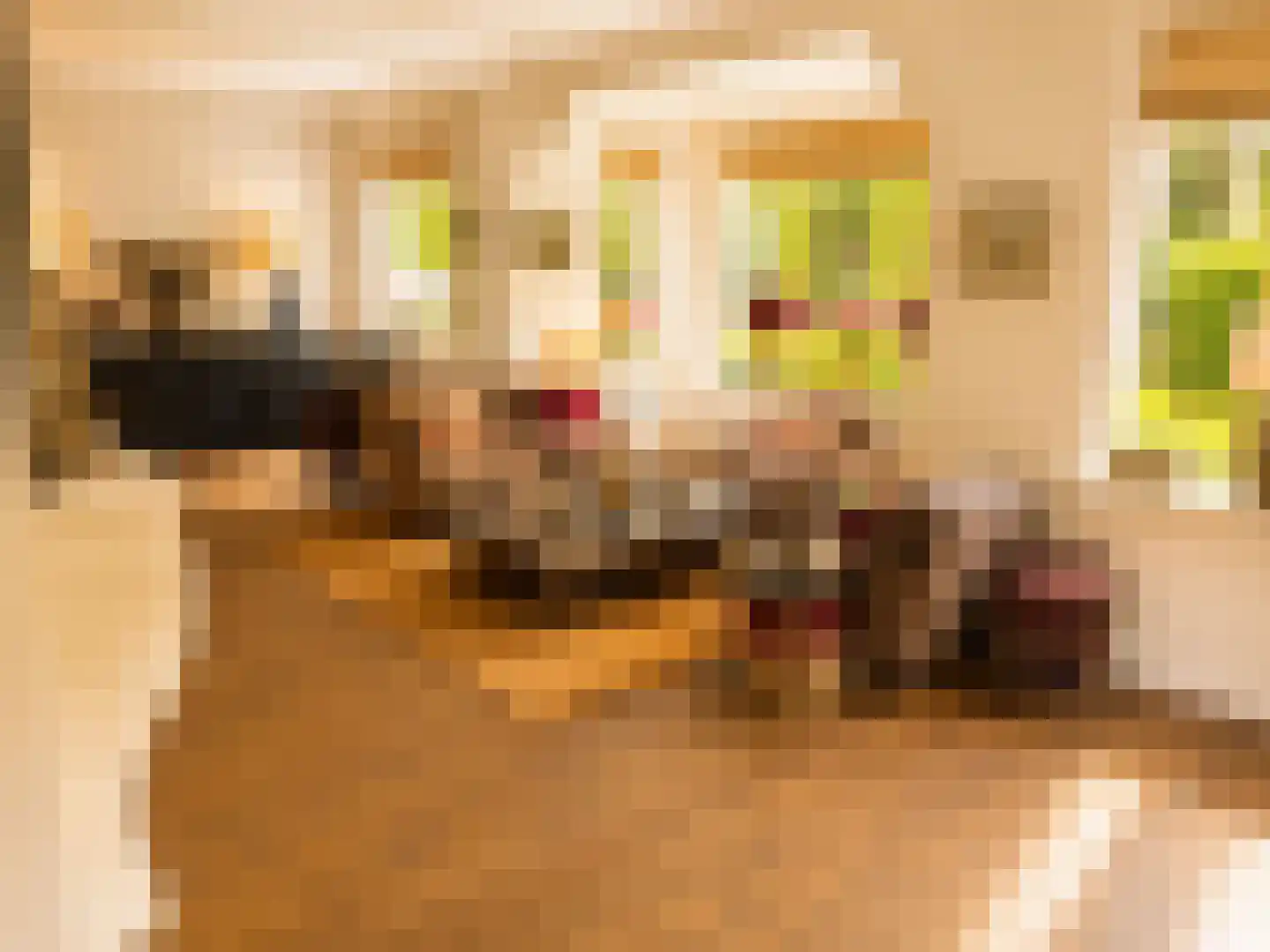 De Genestetlaan 40 Bilthoven thumbnail 6