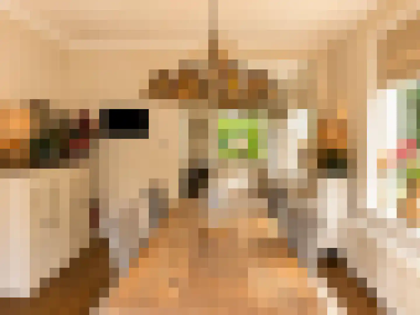 De Genestetlaan 40 Bilthoven thumbnail 7