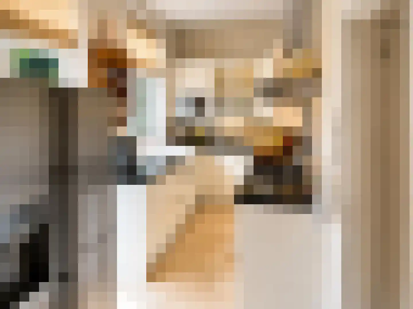 De Genestetlaan 40 Bilthoven thumbnail 8