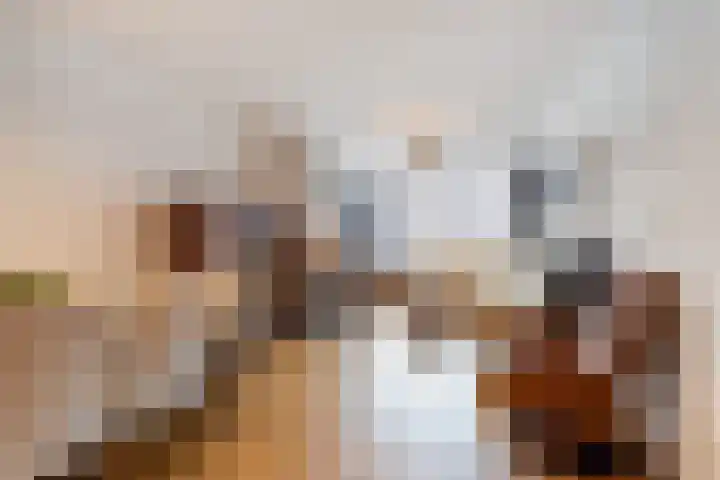 De Genestetlaan 49 Den Haag thumbnail 13