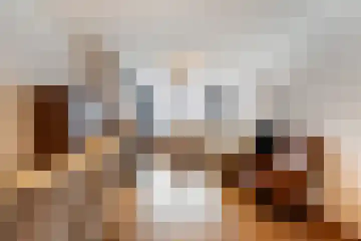 De Genestetlaan 49 Den Haag thumbnail 14
