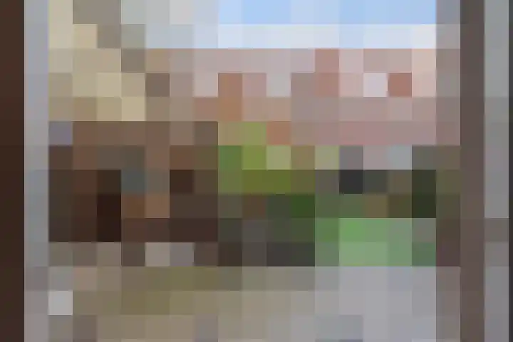 De Genestetlaan 49 Den Haag thumbnail 22