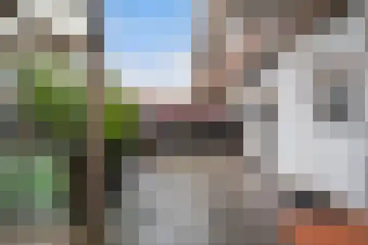 De Genestetlaan 49 Den Haag thumbnail 23
