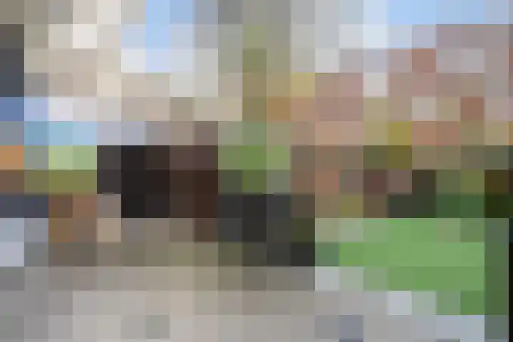De Genestetlaan 49 Den Haag thumbnail 26