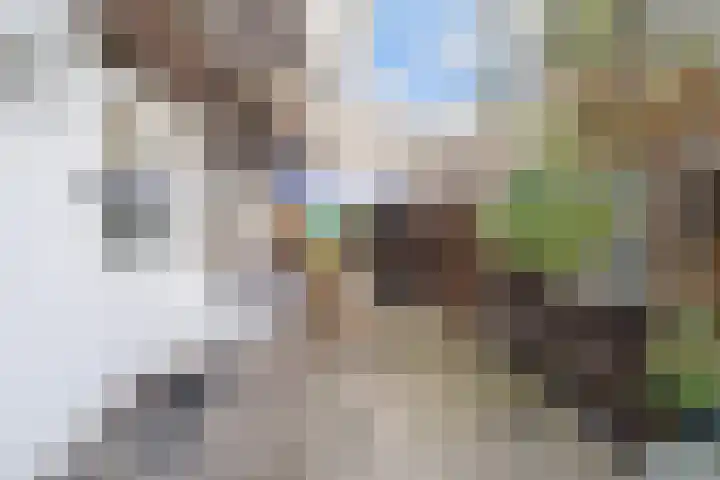 De Genestetlaan 49 Den Haag thumbnail 29