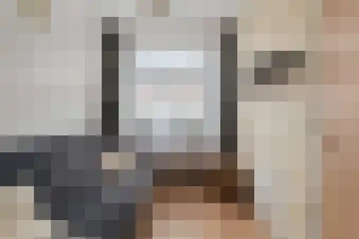 De Genestetlaan 49 Den Haag thumbnail 32