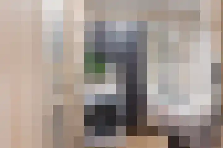 De Genestetlaan 49 Den Haag thumbnail 36