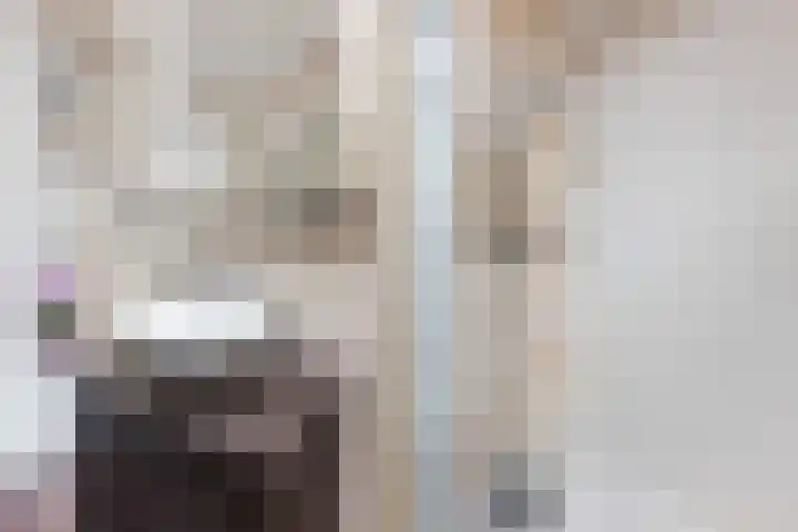De Genestetlaan 49 Den Haag thumbnail 39