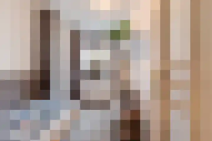 De Genestetlaan 49 Den Haag thumbnail 40