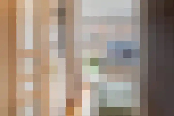 De Genestetlaan 49 Den Haag thumbnail 43