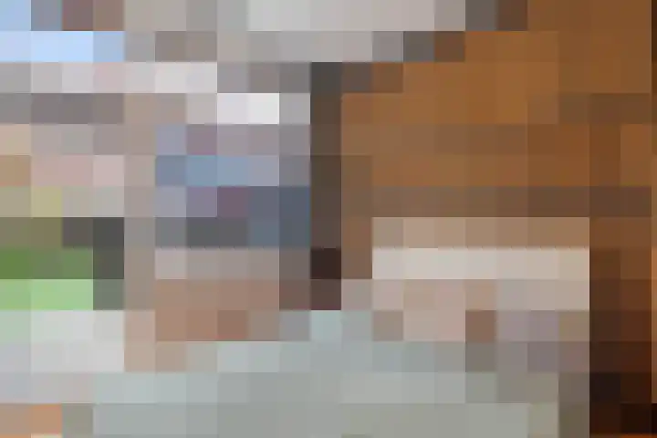 De Genestetlaan 49 Den Haag thumbnail 44