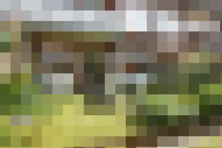 De Genestetlaan 59 Den Haag thumbnail 29
