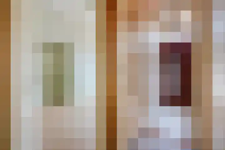 De Genestetlaan 59 Den Haag thumbnail 30