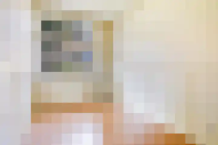 De Genestetlaan 59 Den Haag thumbnail 34