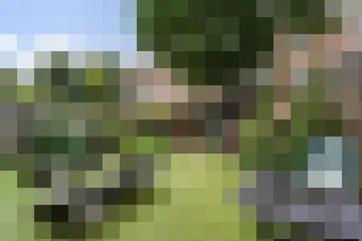 De Genestetlaan 59 Den Haag thumbnail 5