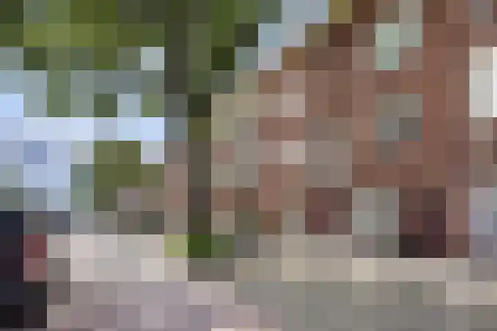 De Genestetlaan 59 Den Haag thumbnail 8