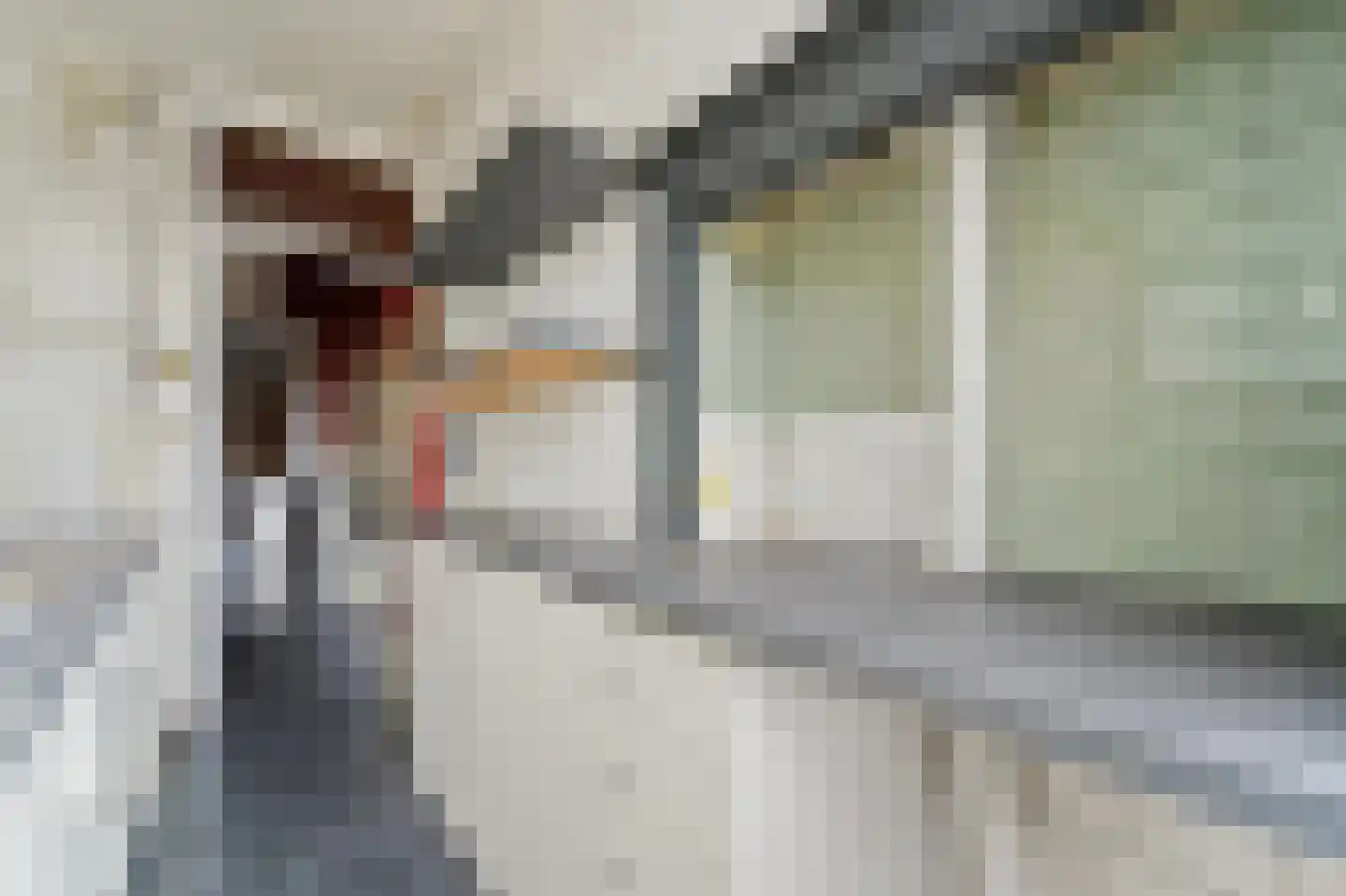 De Genestetlaan 67 Den Haag thumbnail 22