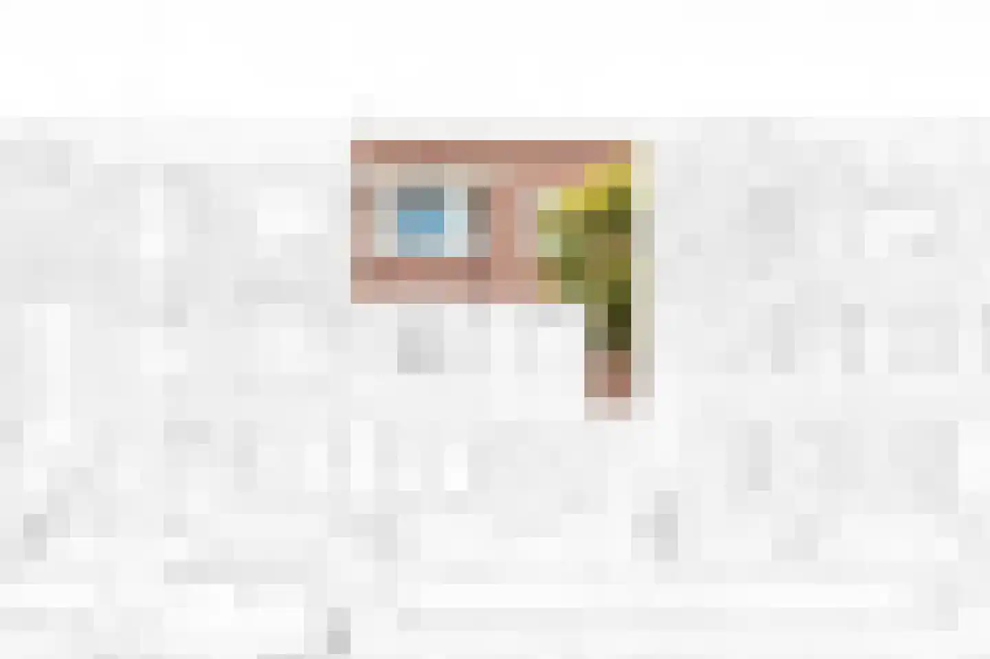 De Genestetlaan 67 Den Haag thumbnail 29