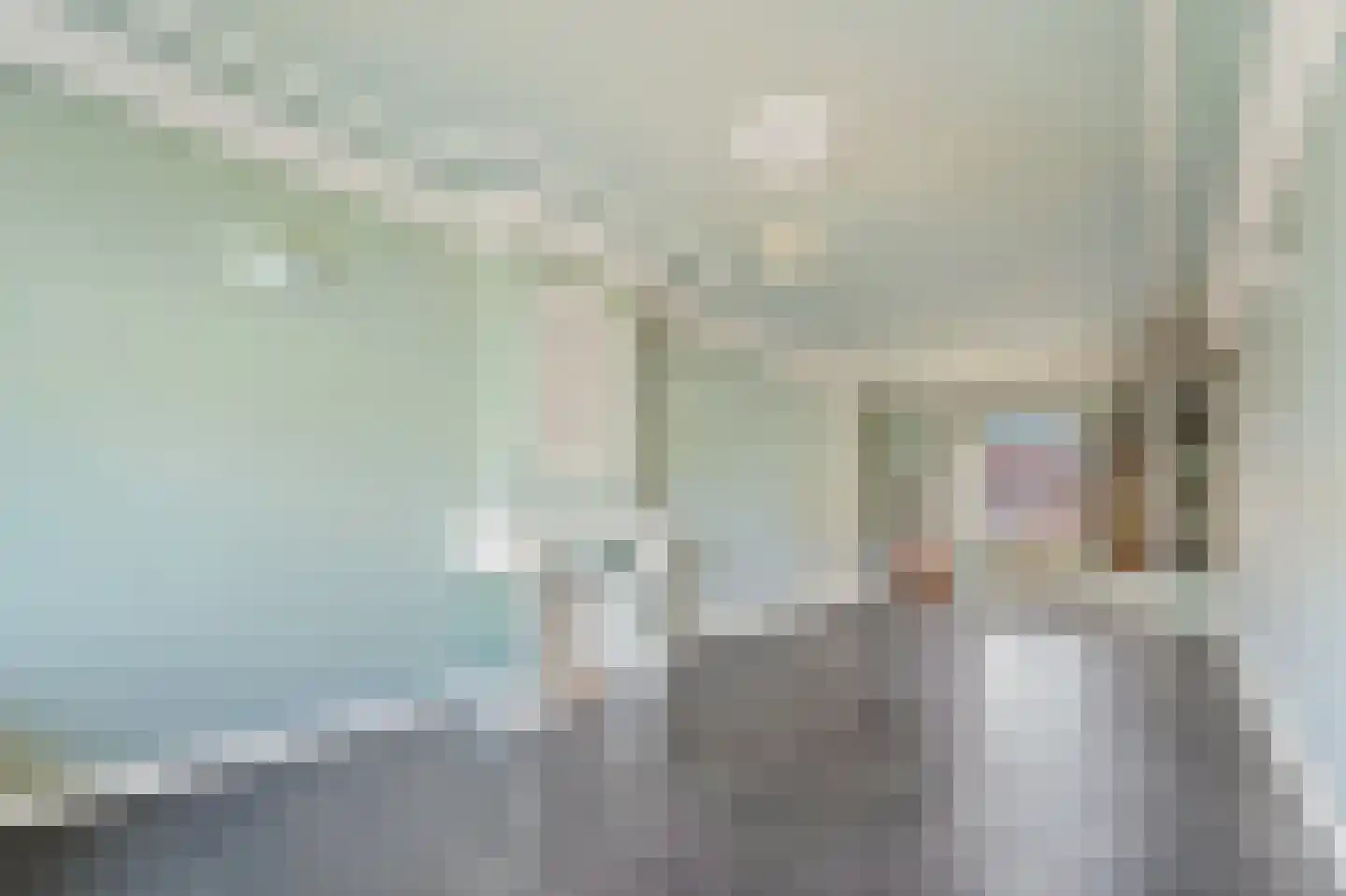 De Genestetlaan 67 Den Haag thumbnail 6