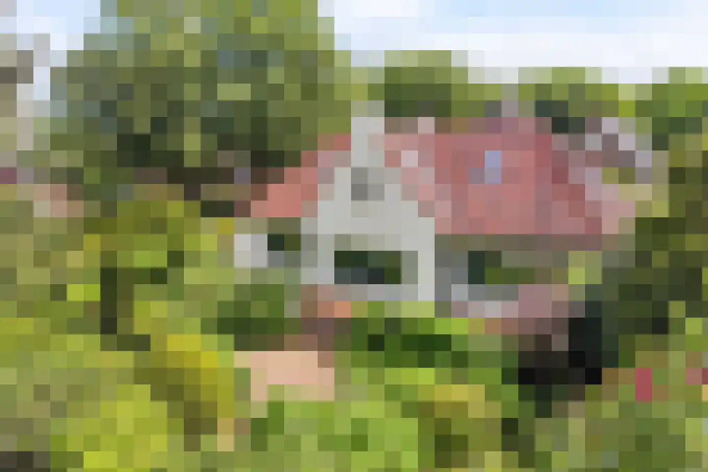 de Genestetlaan 7 in Baarn