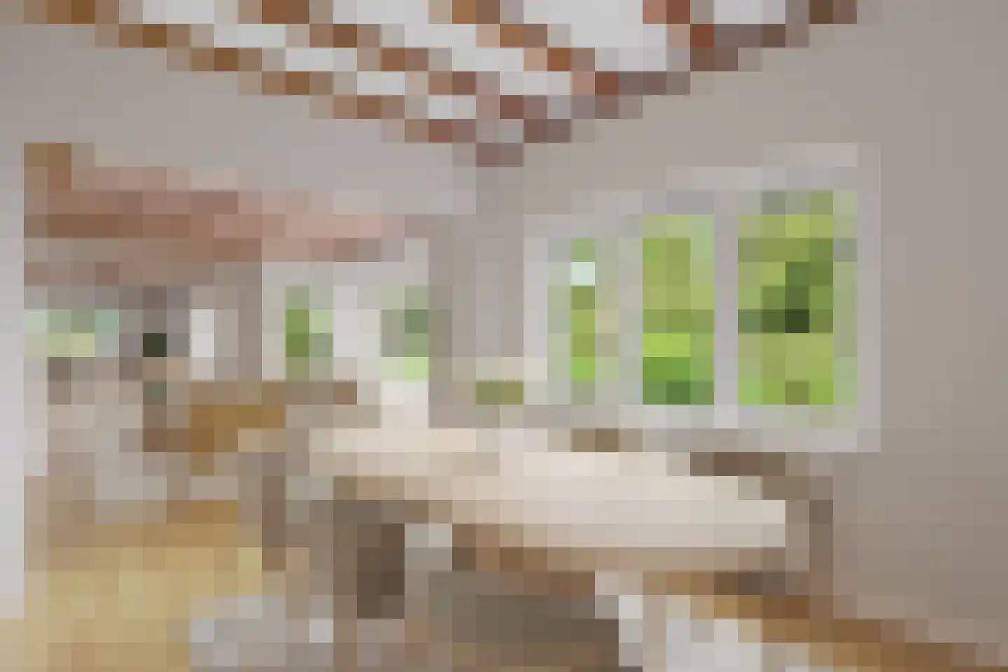 de Genestetlaan 7 Baarn thumbnail 11